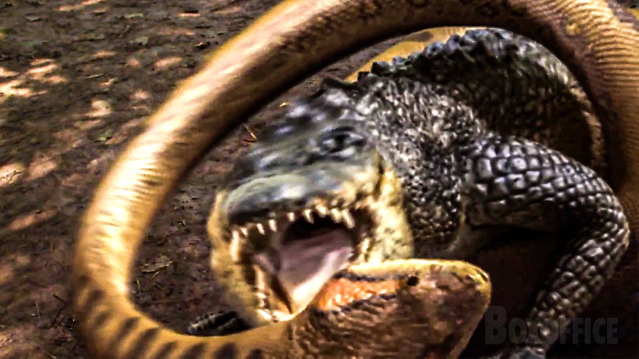 Cobra gigante vs Jacaré | Pânico no Lago: Projeto Anaconda | CLIPE