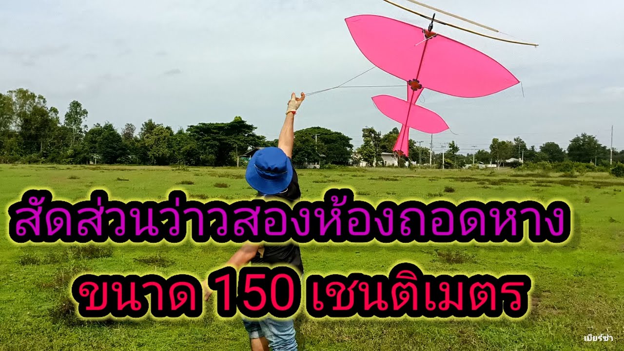 สัดส่วนว่าวสองห้องถอดหางขนาด 150 เชนติเมตร #เบียร์ซ่าบ่าวอุบลฯ