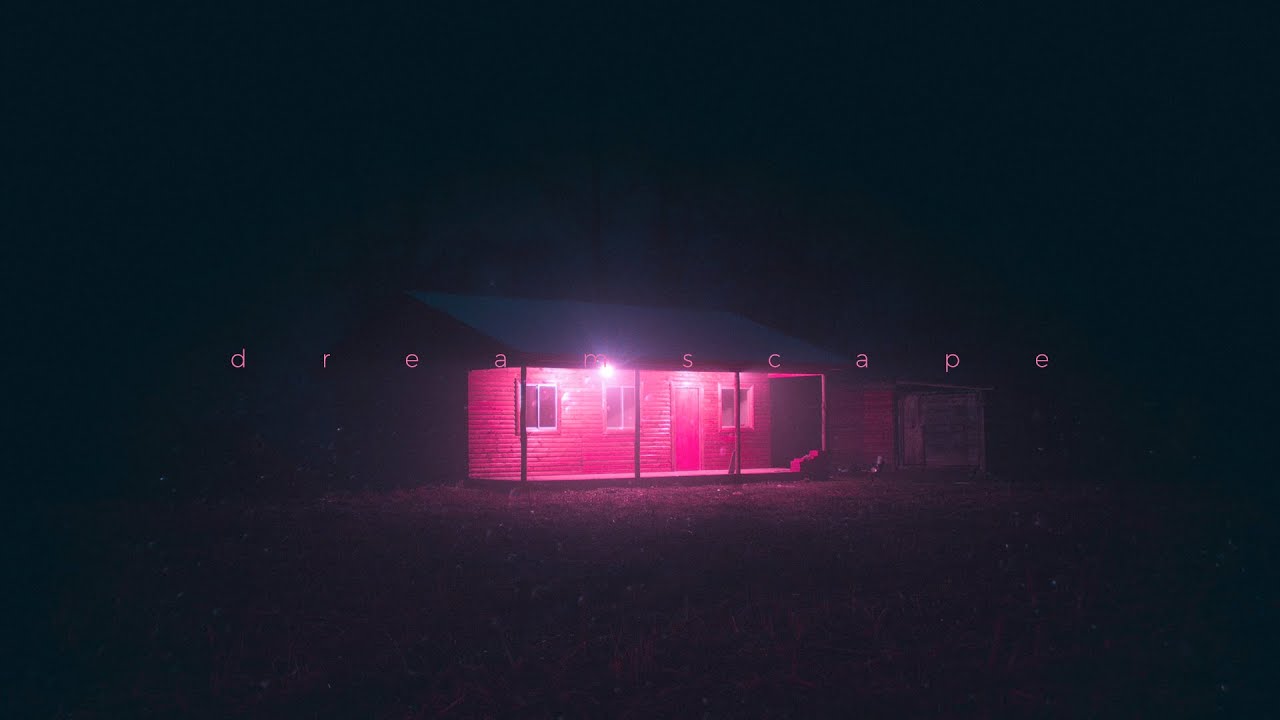 Blade Runner 2049 Synthwave Goose