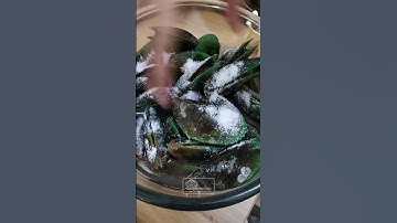 Thumbnail of YOU MUST KNOW HOW TO PROCESS GREEN MUSSLESS!