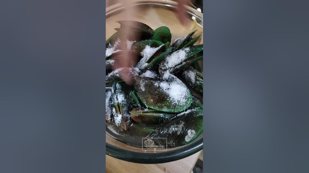 WAJIB TAU CARANYA NGOLAH KERANG HIJAU!