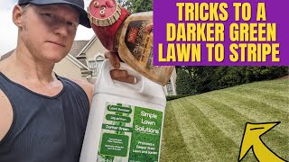HOW TO GET THE DARKEST GRASS PERIOD!