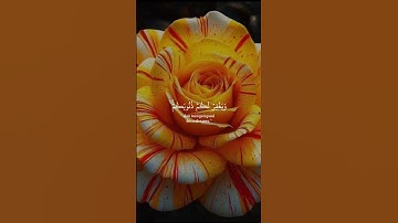#اكسبلور #keşfet #duet #دويتو #لايك #love #راحة_نفسية #فولو #تيك_توك #حالات_واتس#تلاوات#قران_كريم