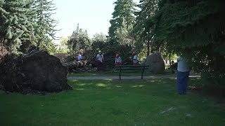 Volunteer group Team Rubicon helping clean up debris after Missoula storm