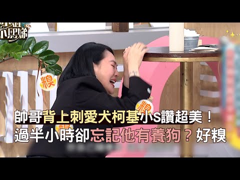 帥哥背上刺愛犬柯基小S讚超美！過半小時卻忘記他有養狗？好糗#小姐不熙娣【精華】