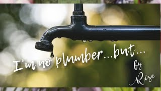 Famous I'm no plumber...but... Net Worth