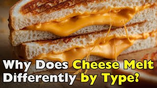 The Science Behind Why Cheeses Melt So Differently