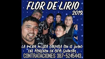 FLOR DE LIRIO 2019-SUENAN LOS TAMBORES, LA DANZA DEL COCHINILLO