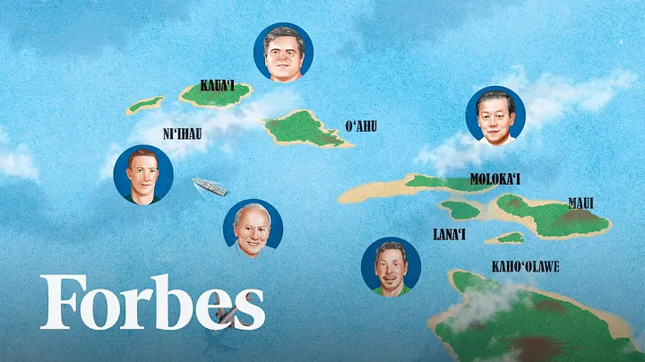 Which tech billionaire bought up land in Hawaii? (2025)