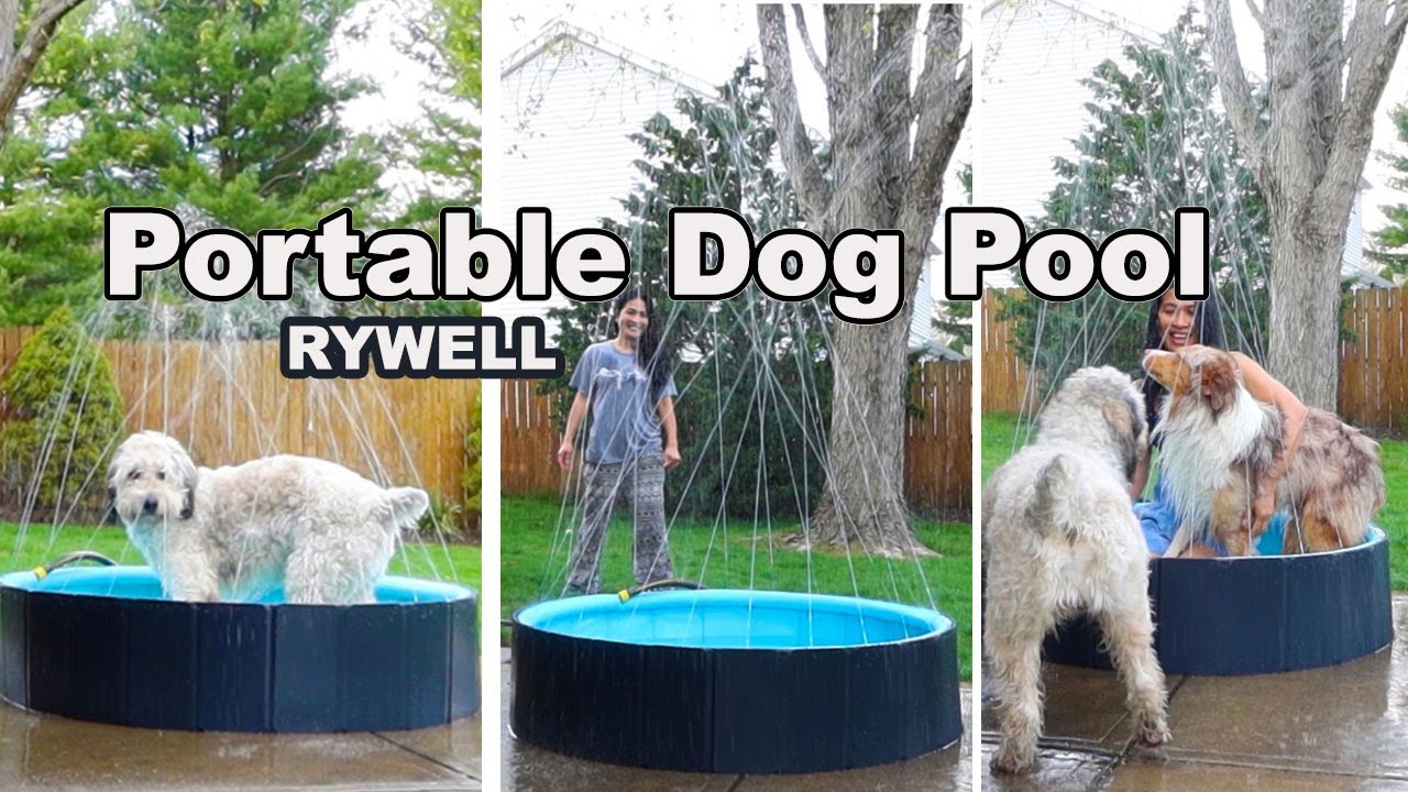 Portable Sprinkler Dog Pool Unboxing and First Try RYWELL YouTube