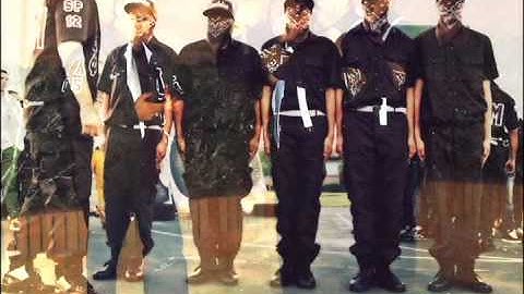 Delta Alpha Lambdas MGC Showcase FA14