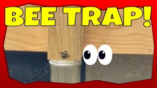 HOW TO MAKE A CARPENTER BEE BORE TRAP
