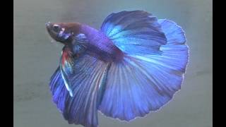 2026/4/14 KA31~40 LA01~04 L13~14 K40~41