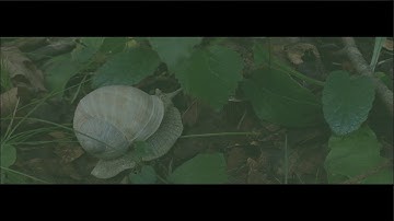 KNUP / Etude I. (Elektron Digitone & Korg Volca Keys)