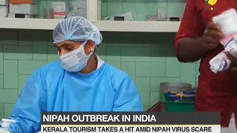 Reports claim bats are not primary source of Nipah virus