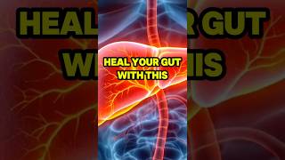 HEAL Your Gut FAST After Antibiotics