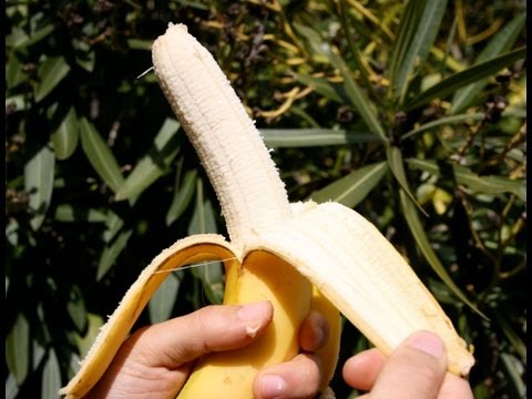 how-to-correctly-peel-a-banana