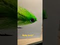 Będą żarły?#pike #pikefishing
