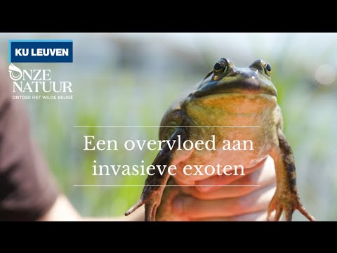 Video: Soorten vissen en hun leefgebieden