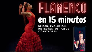 Todo sobre el FLAMENCO en 15 minutos