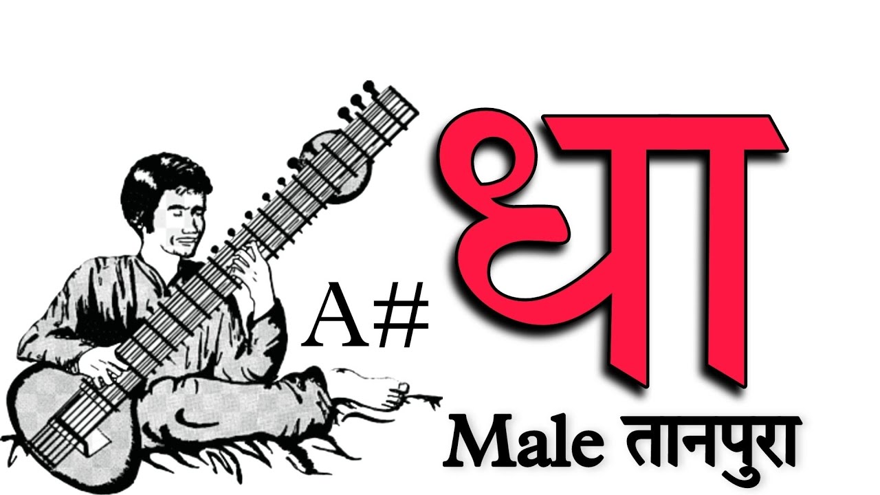 riyaz धा तानपुरा A scale tanpura for male singing/best tanpura for