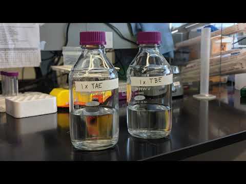 Video: Aká je výhoda agarózy oproti polyakrylamidovým gélom?