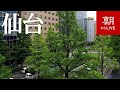 【LIVE】仙台・広瀬通＠朝日新聞社仙台総局　Hirosedori street in Sendai