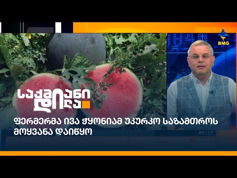 ფერმერმა ივა ჭყონიამ უკურკო საზამთროს მოყვანა დაიწყო