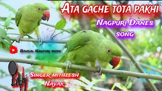 Ata Gache Tota Pakhi  Full Song // 2023 Dhamaka New Nagpuri song || singer Mithilesh Nayak & Sangita