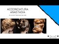 ✅Acconciatura Anastasia | Acconciature 3D