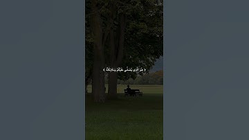 وكان الله بكل شيٍ عليم |تلاوة الشيخ ياسر الدوسري