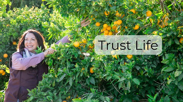 35  Debra Cummings SOUL NOTES Trust Life