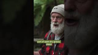 Heal the forest, heal the water
