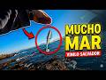 Mucho mar  | Vinilo AliExpress salvador | Vblog