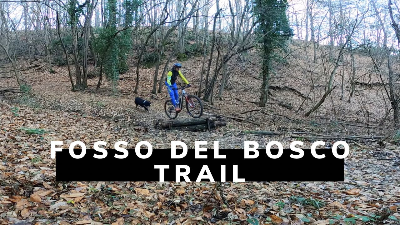 Fosso del Bosco Trail - Monte Mario - Sasso Marconi