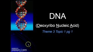 DNA Basics (Theme 2 Topic 4 pg 1)