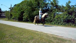 DSCN0285