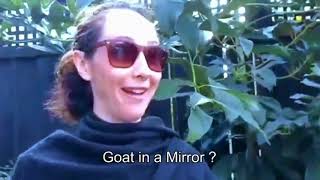 Hilarious Conversation With a Busker @plumedekiwi