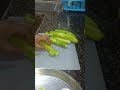 तुरी की सब्जी #shortvideo #cooking #recipe #youtubeshorts #viralmusic #entertainment #तुरी की सब्ज