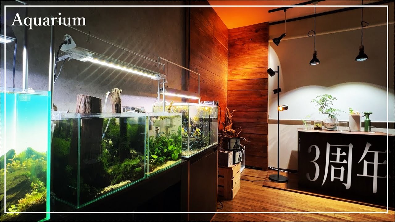 【ｱｸｱﾘｳﾑ】３周年の総集編【上級者用】