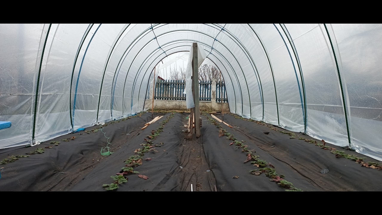 Строим балаган (теплицу, парник) из стеклопластиковой арматуры для клубники