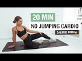 20 MIN NO JUMPING CARDIO - Low Impact, No Equipment, Home Workout