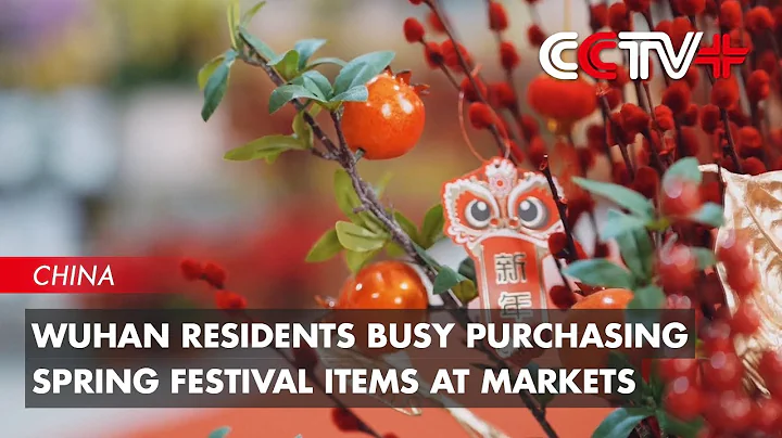 Wuhan Residents Busy Purchasing Spring Festival Items at Markets - DayDayNews