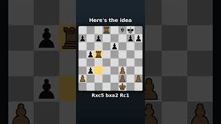 This Pin Wins on the Spot ♟️