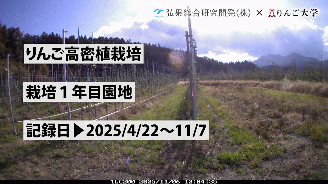 タイムラプス 2025年春から秋まで りんご高密植栽培 栽培1年目園地