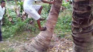 Vid0001.3gp