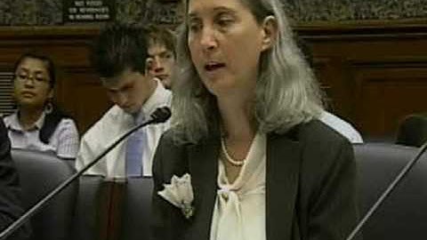 Income Gap Hearing: Nell Minow