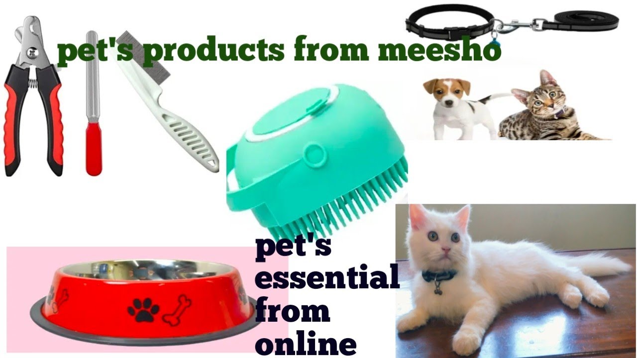 New kitten essentials : Things needs every pet's guardian:Persian kitten product from meesho #meesho