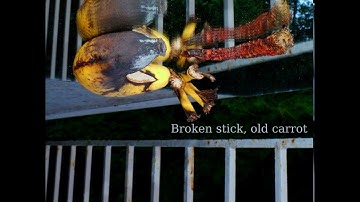 Selfsimilar - intro 2