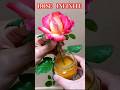 ROSE INFINITE moltiplicare così, IN UN MINUTO,  ROSE #rose #fiori #giardinaggio #googletricks